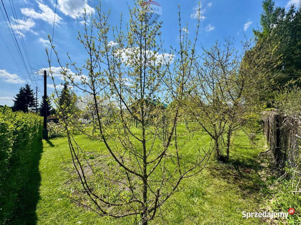 Działka budowlana z ogrodem 800 m Rybnik
