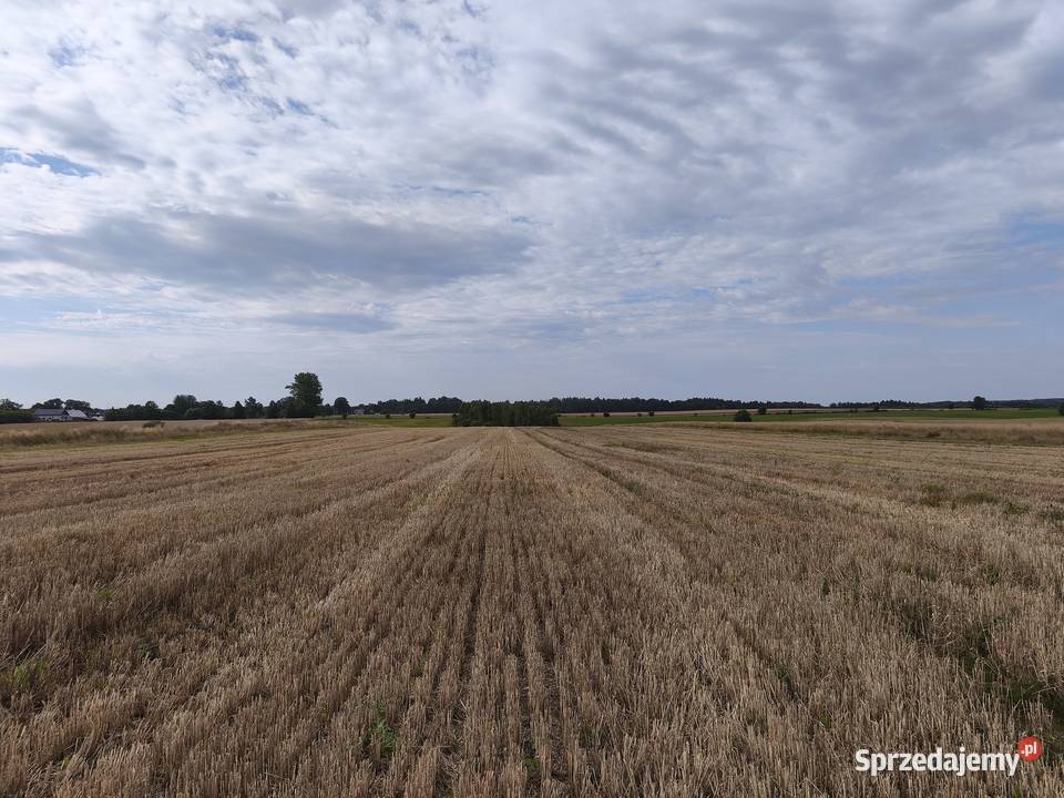 Ostatnie 3 działki budowlana Grunty i działki Kaczkowo