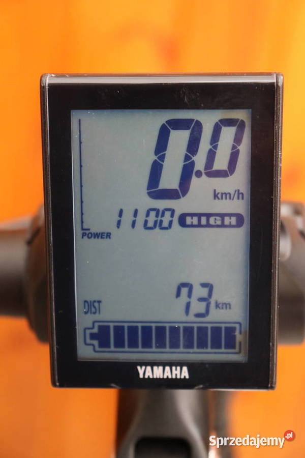 Rower elektryczny Wheller IVision D 48 Yamaha