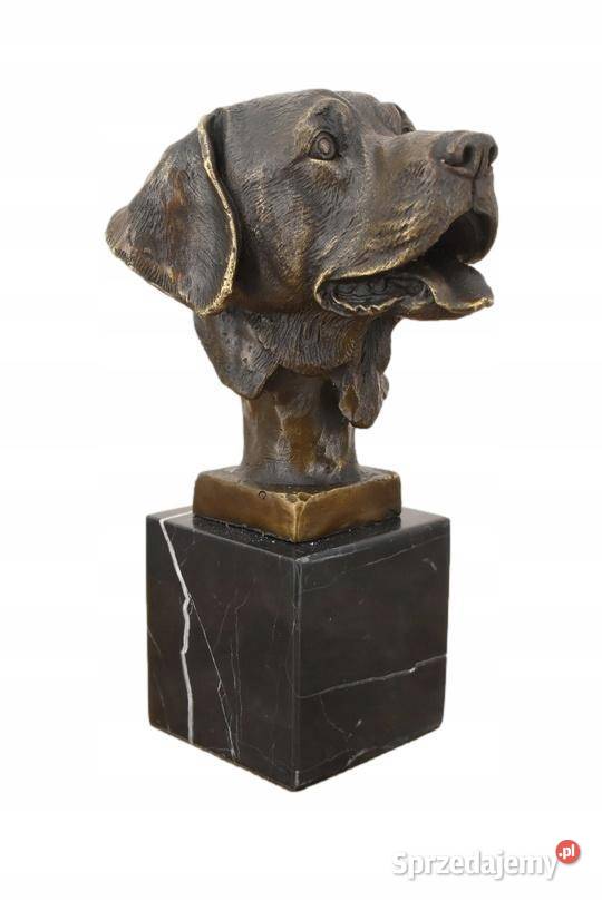 Głowa Pysk Psa Labrador Golden Retriever Figura małopolskie Kraków sprzedam
