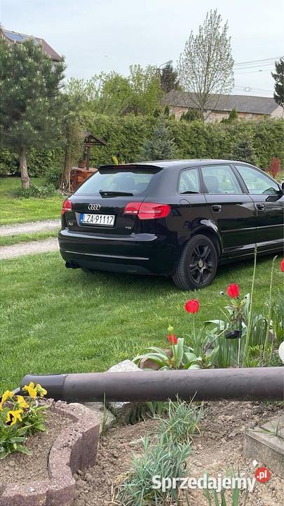 Audi a3 8p lift manualna lubelskie Grabowiec-Góra