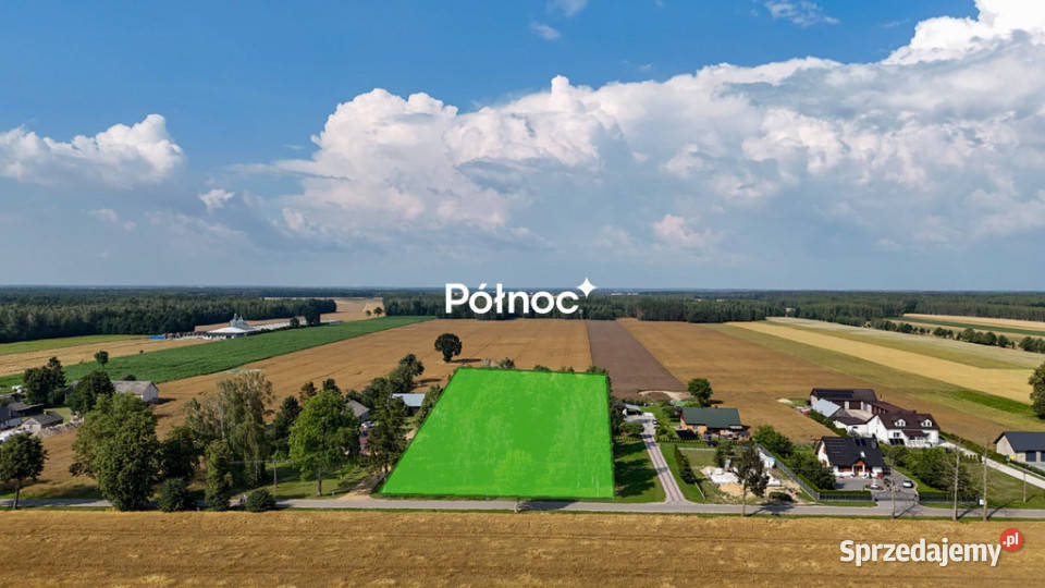 Siedlisko z sadem Pojelce gm Biała Podlaska