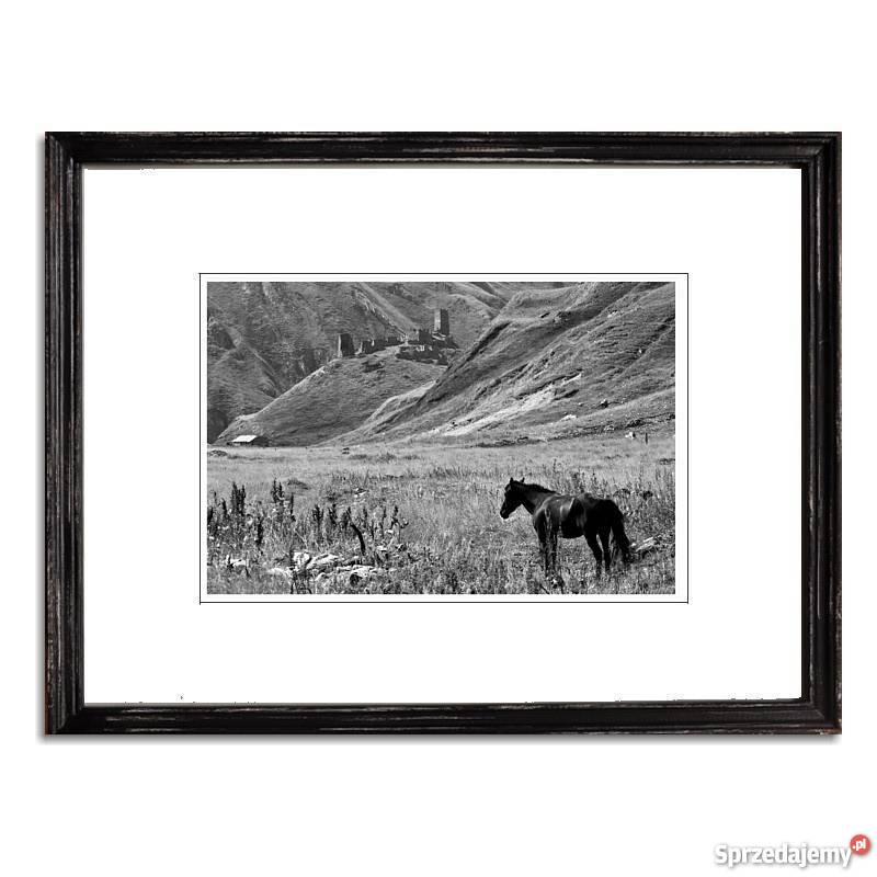 Free fotografia autorska