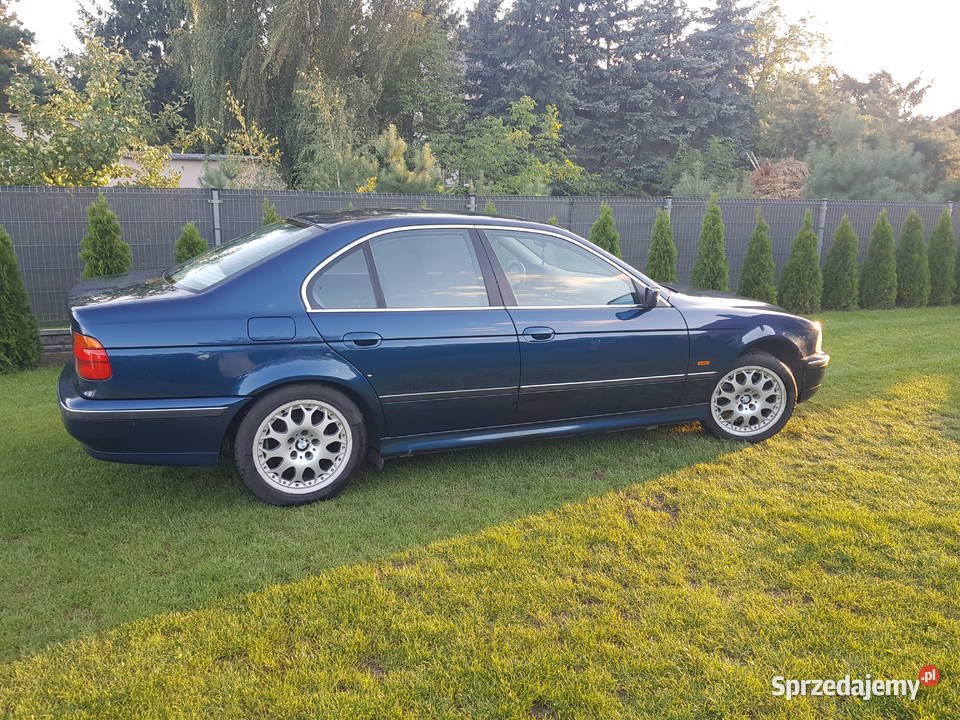 BMW E39 Lmuzyna Byczyna