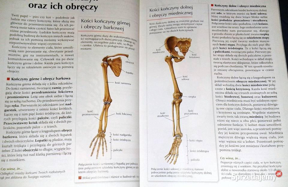 Puls życia 2 Małgorzata Jefimow Chełm sprzedam