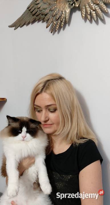 opieka kotem cat sitter Warszawa Ursynów