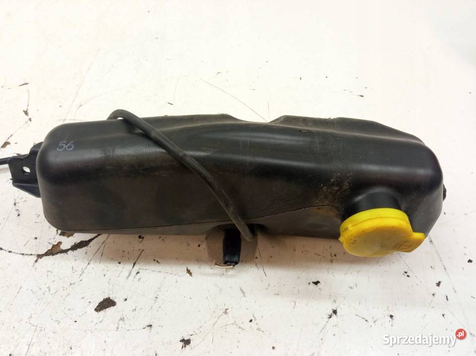 ZBIORNICZEK SPRYSKIWACZY 289107187R Dacia Duster