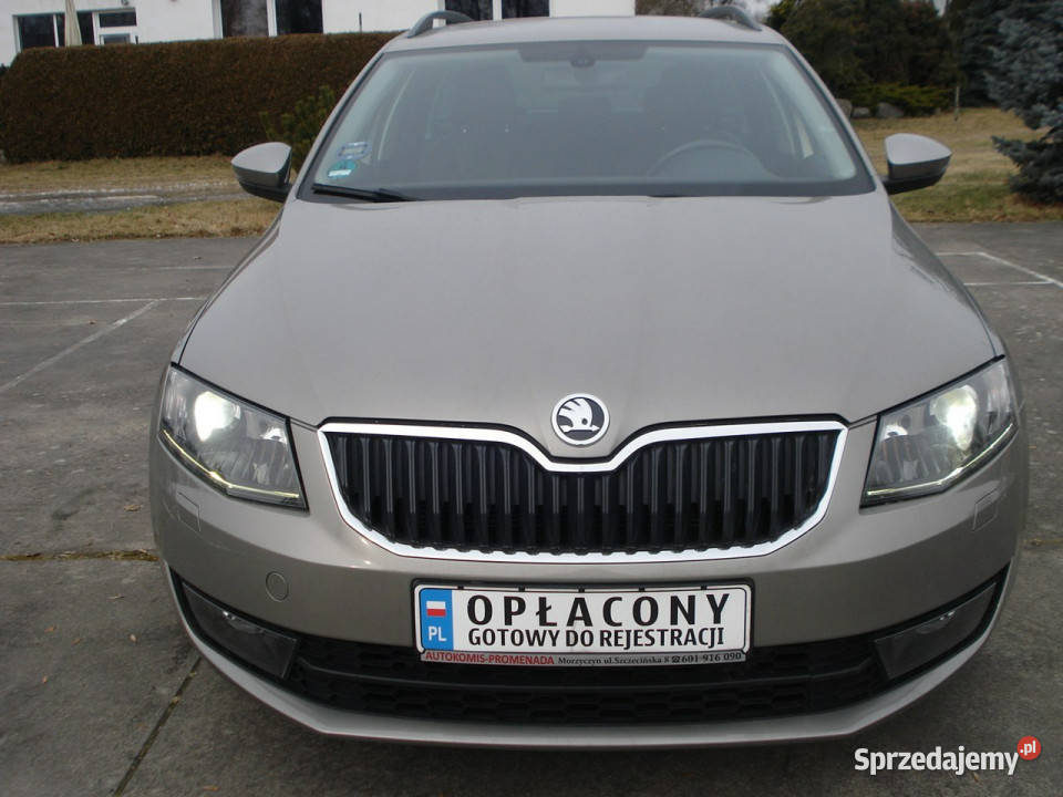 koda Octavia Wersja EleganceChrom Pakiet III Morzyczyn