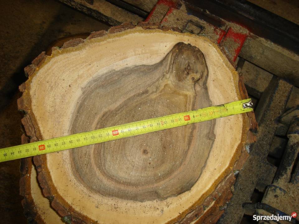 Plaster talar drewna pień pniak na stół loft wielokolorowy Izdebnik