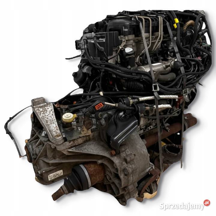 SILNIK HHDA Ford Focus II MK2 C 16 TDCI 90 Chełm