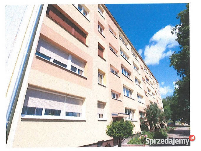 Syndyk sprzeda udział 12 w lokalu mieszkalnym 57m2 Sprzedaż dolnośląskie Zgorzelec
