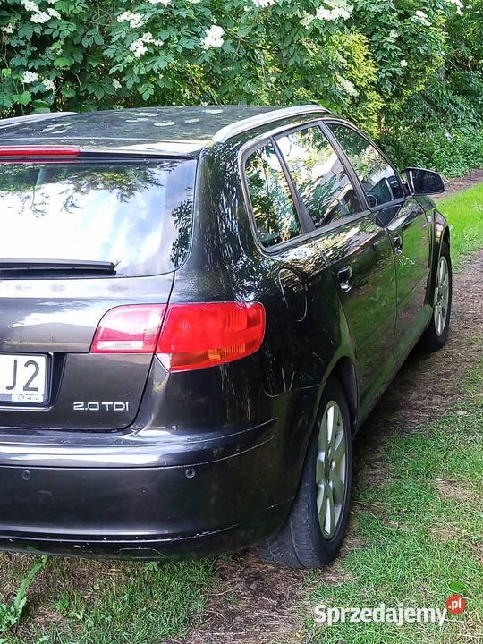 Audi A3 Sportback 19 TDI 2006 wspomaganie kierownicy Kamień sprzedam