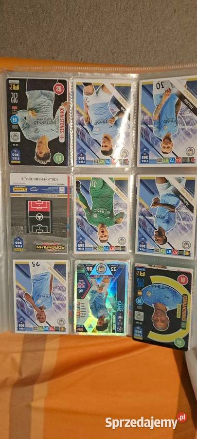 Karta panini album ponad 100 kart Rzeszów