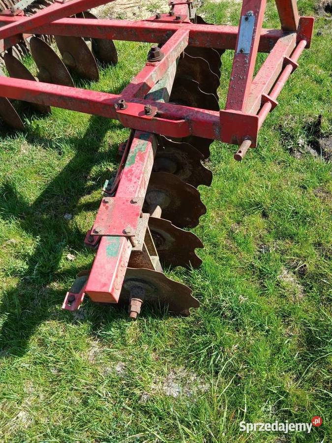 Talerzówka nieuszkodzony Łobżenica