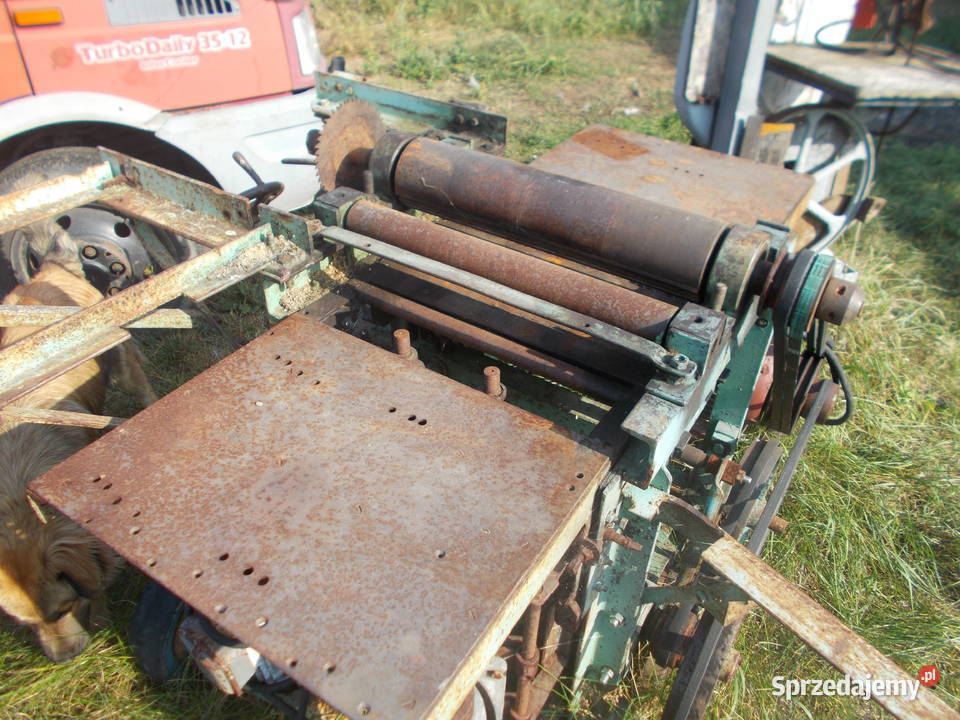 Grubościówka Syców