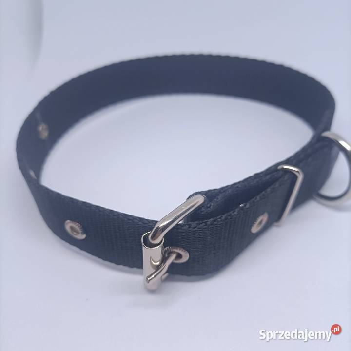 Obroża psa 25mm65