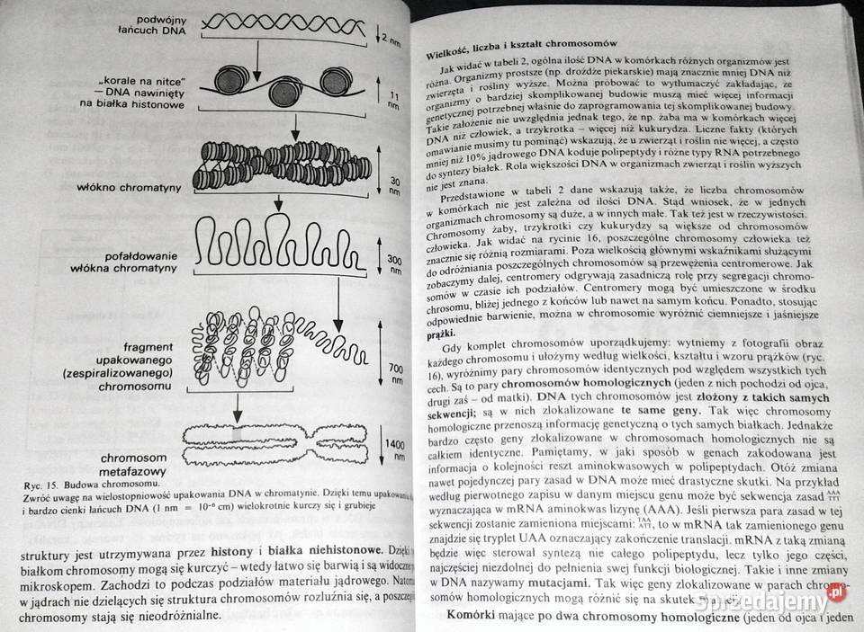 Biologia kl 3 i 4 Wacław Gajewski Aleksandra miękka