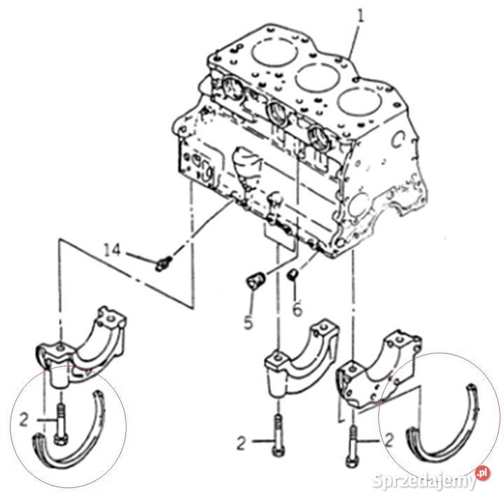 Uszczelka wału korbowego 195 mm Iseki 5035 5040 Tajęcina