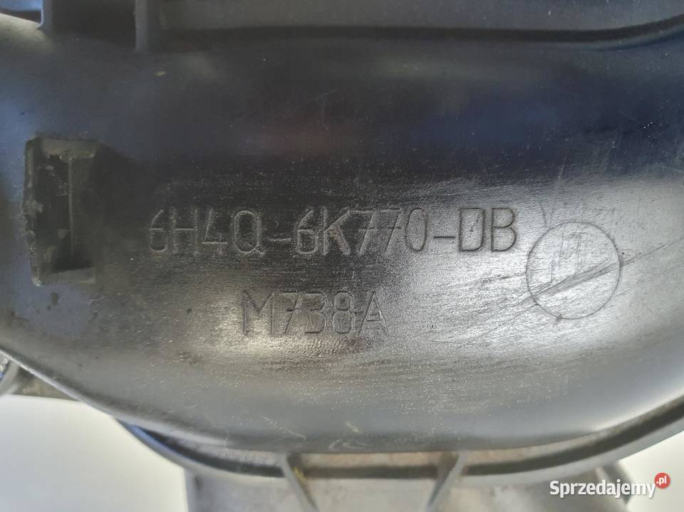 Range Rover Vogue L322 36 368DT KOLEKTOR SSĄCY osobowe lubelskie Rudka