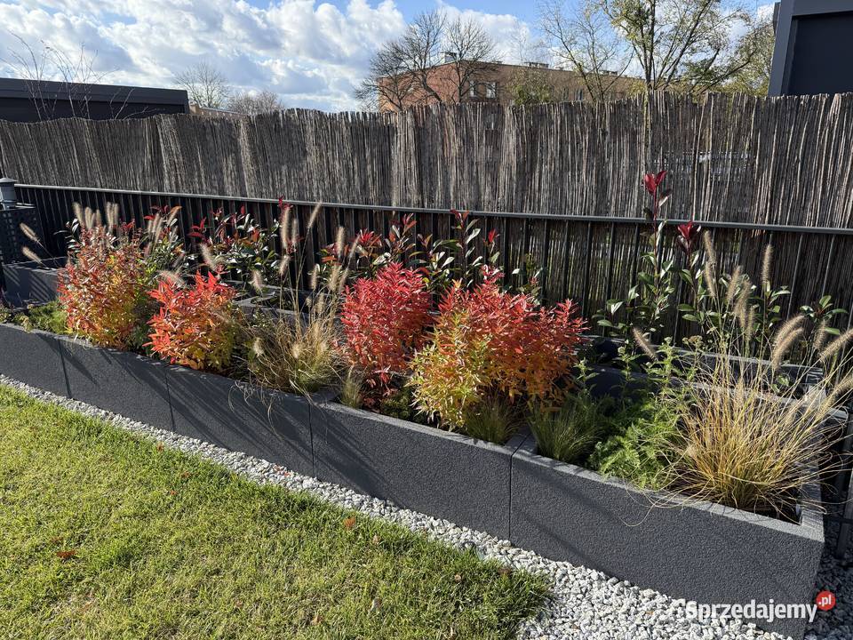 Termo donice styropianowe - idealne na taras, balkon i do ogrodu Kraków