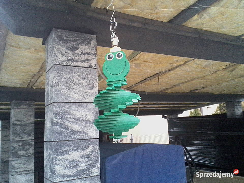 Świderek Ogrodowy Żabka Rybnik