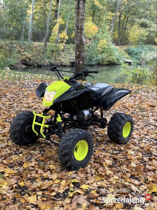 Quad Bashan 200 Loncin barrosa gruz 250 nieuszkodzony Opole