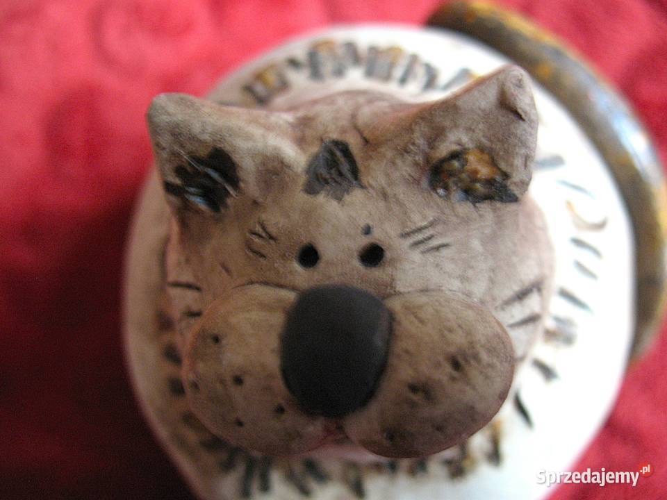 Kot z cyklu brzydkie ale fajne Stara Figurka Siedlce