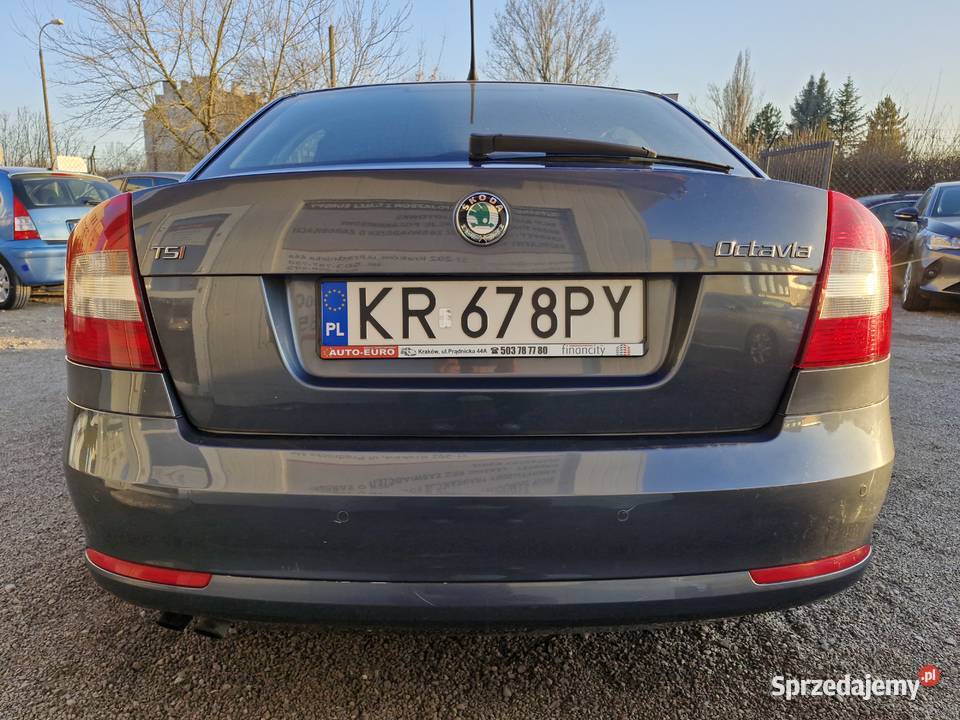 Salon Polska 1 właściciel nowości doinwestowana szary Kraków