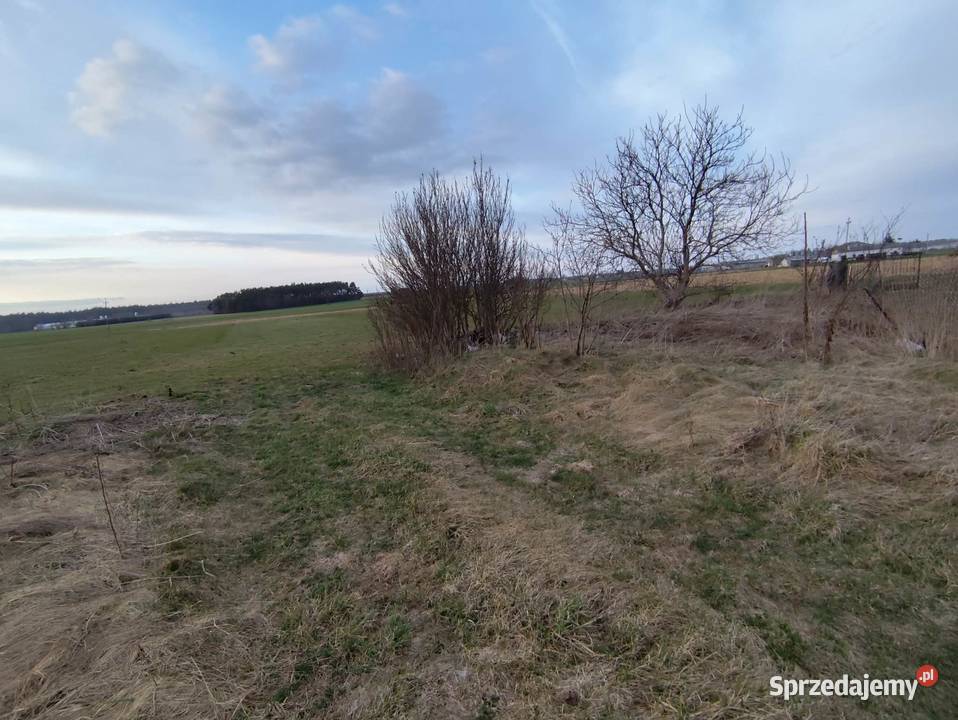 Sprzedam dom z siedliskiem i budynkami Sprzedaż mazowieckie Jeżewo-Wesel