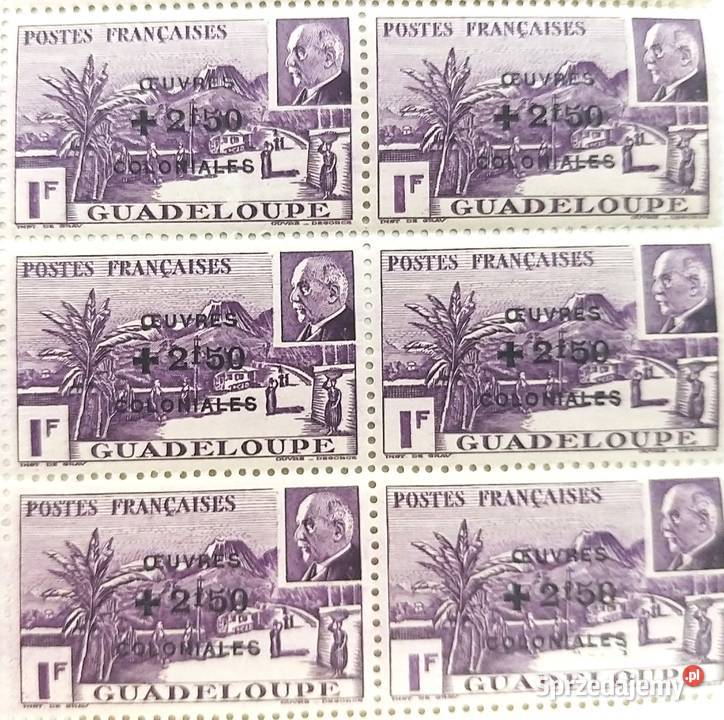 Gwadelupa Kolonie francuskie reżimu Vichy Ptain Bronisze