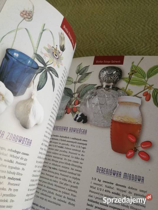 Książka Wielka Księga Nalewek Jan Rogala zachodniopomorskie Szczecin