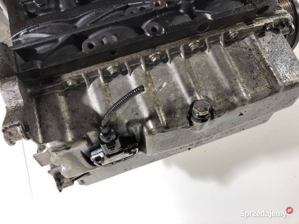 SILNIK VW 19 100 AVQ 0310 TOURAN sprzedam