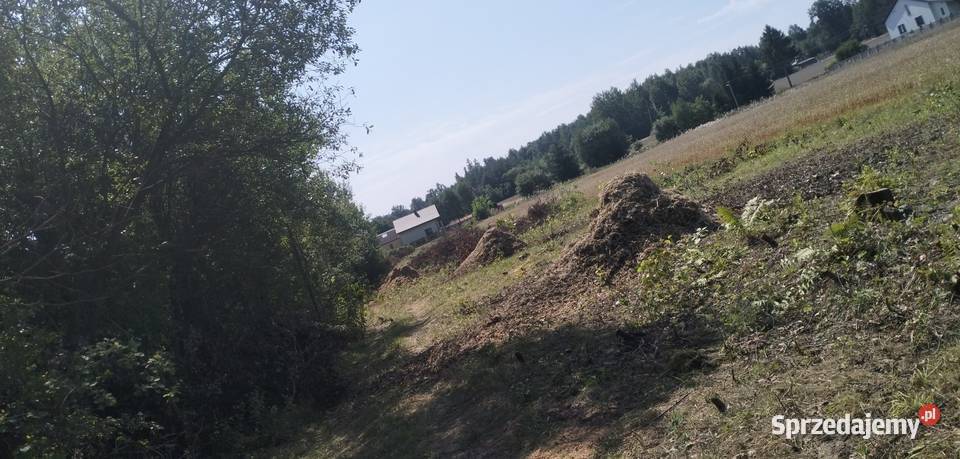 Zrębka sprzedam Leśnictwo Petrykozy