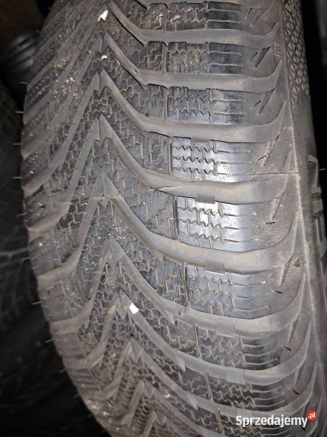 Kola zimowe 1756515 Wieleń sprzedam