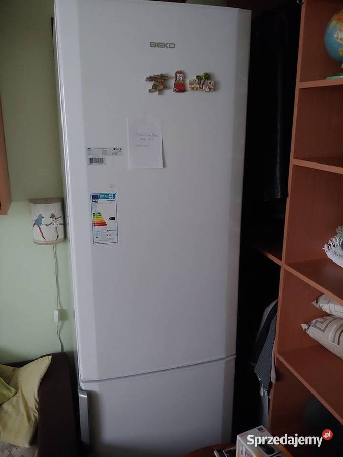 Lodówka zamrażarka Beko duża Warszawa