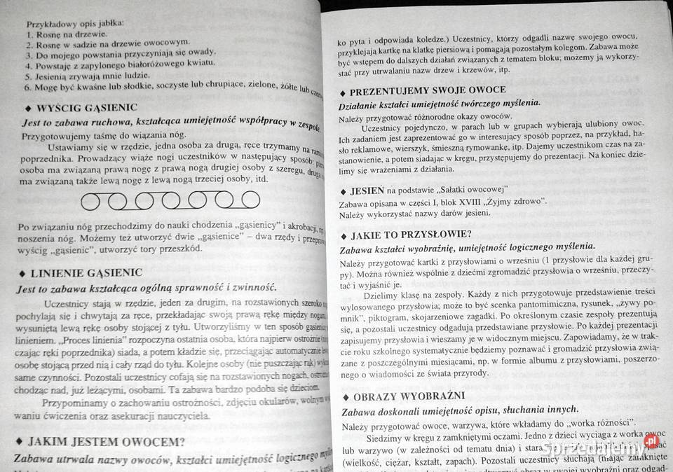 Uczymy się bawiąc kl 2 Lucyna Bzowska Renata miękka Chełm