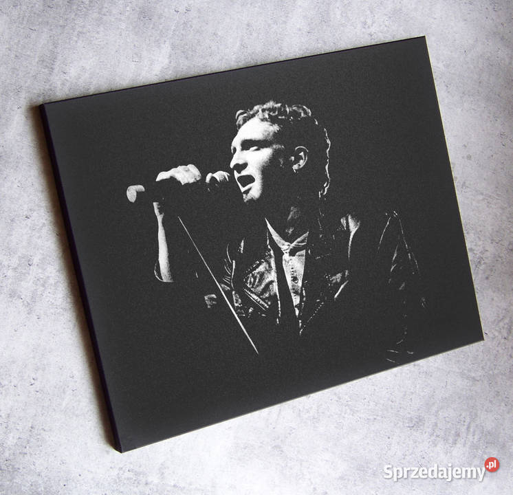 Layne Staley Alice in Chains obraz ręcznie Sandomierz sprzedam