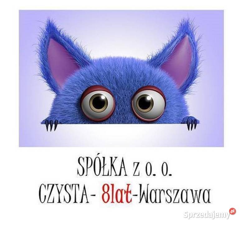 Sprzedam czystą spółkę z o o 11 lat Warszawa