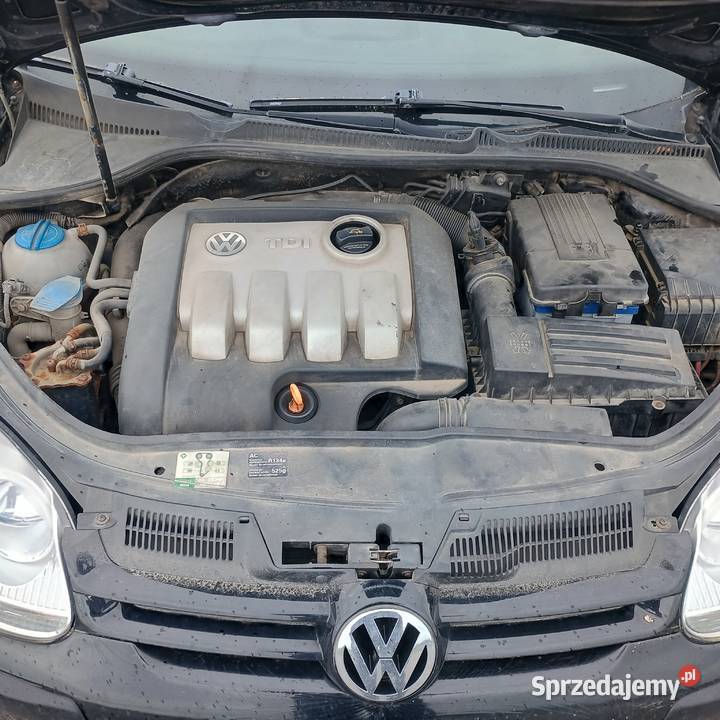 Volkswagen Golf 19 TDI Diesel Sprzedaz Zamiana