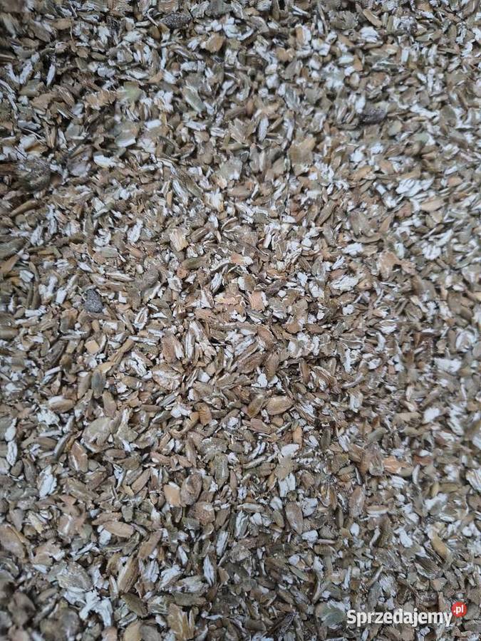 Młynek gniotownik śrutownik ziarna kukurydza ze