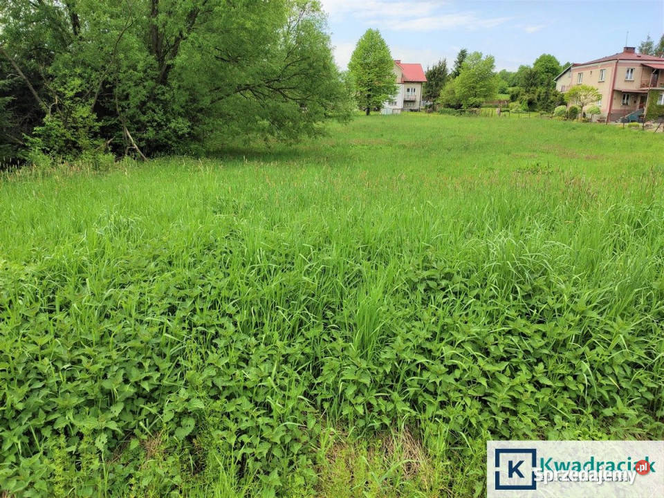 Działka 3000m2 Pisarowce