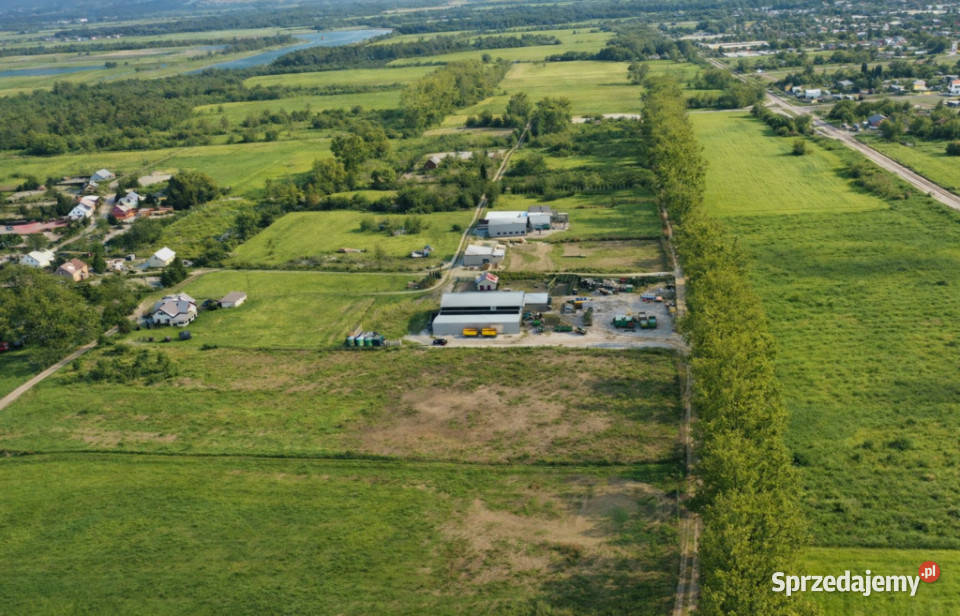 Teren pod budowę domu Sprzedaż Daleszewo