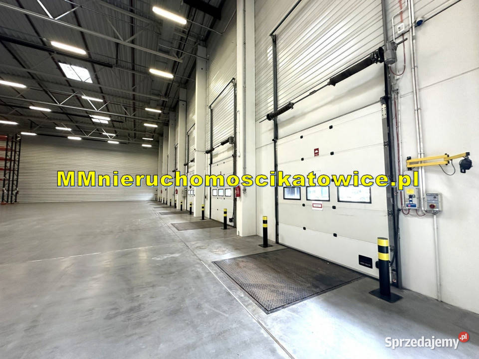 Magazyn do wynajęcia z regałami Katowice A4