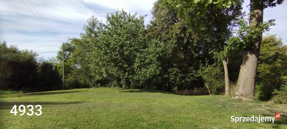 2 działki 147ha łącznie na obrzeżach Rzeszowa Rzeszów