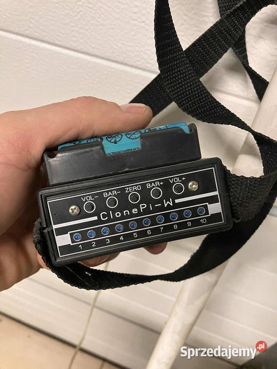 Wykrywacz ramowy Chełm