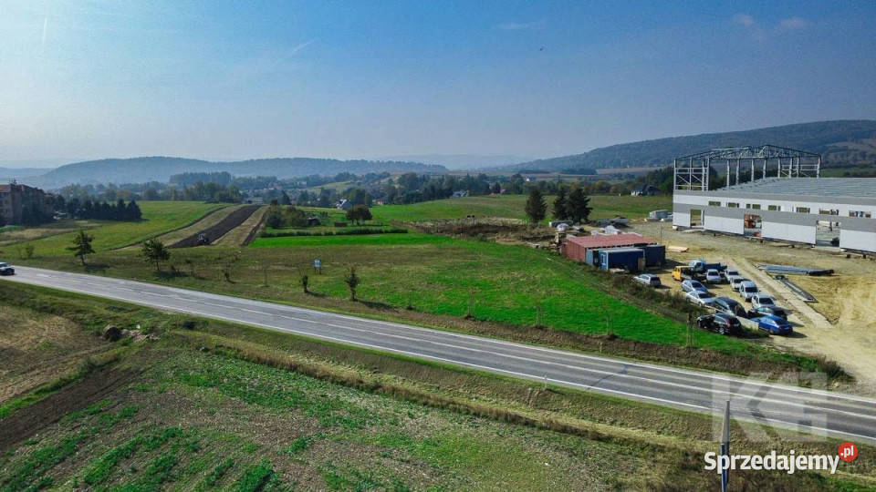Grunt 3000m2 Czerteż podkarpackie