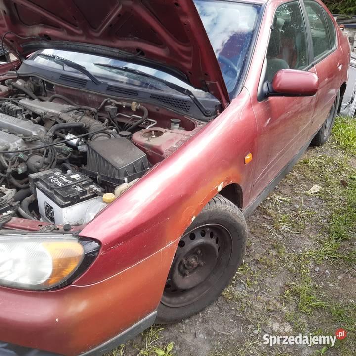 Nissan Primera p11 00r benzyna całość części Biała Podlaska
