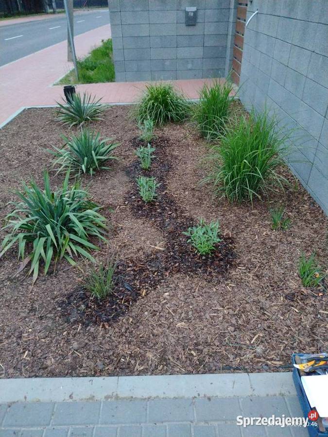 Ogród pielęgnacja budowa Dom i Ogród Komornica
