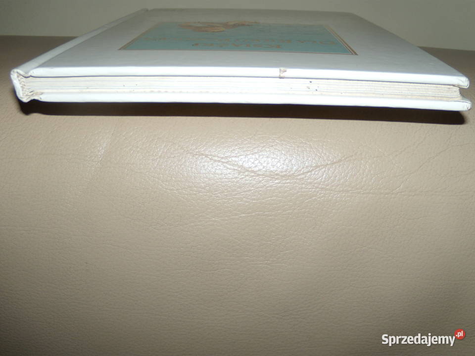 Duszek ze starego zamczyska Zofia Szanter twarda Warszawa