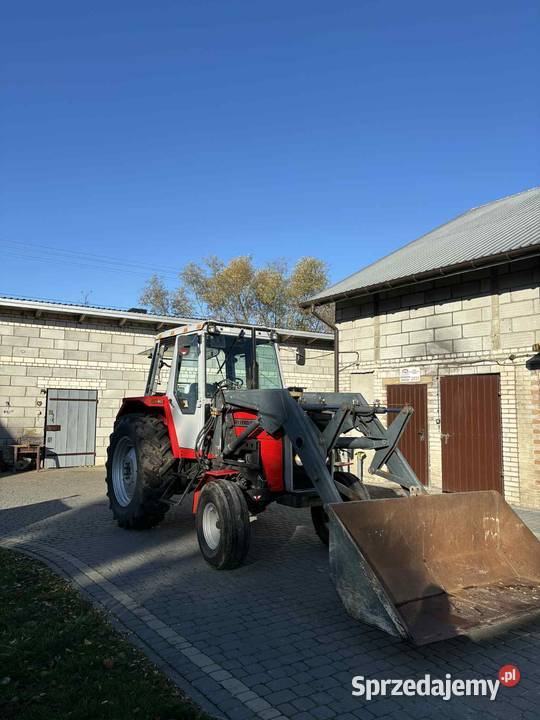Massey ferguson 690 Maciejowice